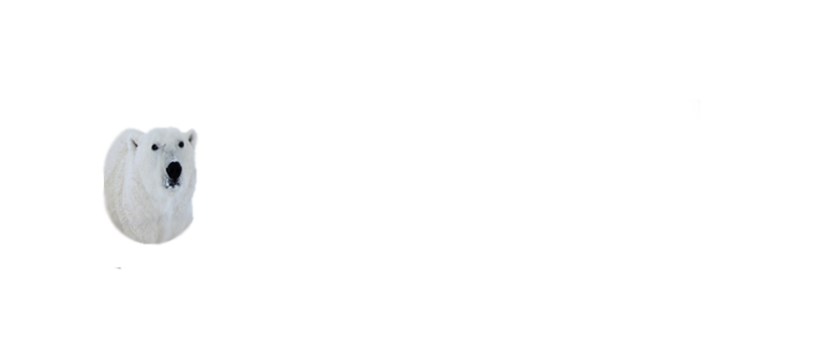 North High Oracle