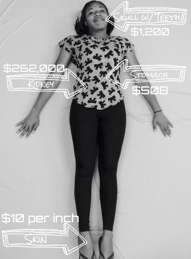 Rayshawna Collier poses as our human body on the back market.
Picture and Editing Credit: Esperanza Vargas Macias