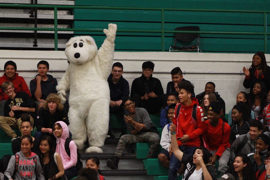 High-fiving the polar bear mascot at the top of the freshmen section was the last step to declare the winner of the crowd scavenger hunt at the last pep rally on April 21, 2017 in the North High gymnasium.